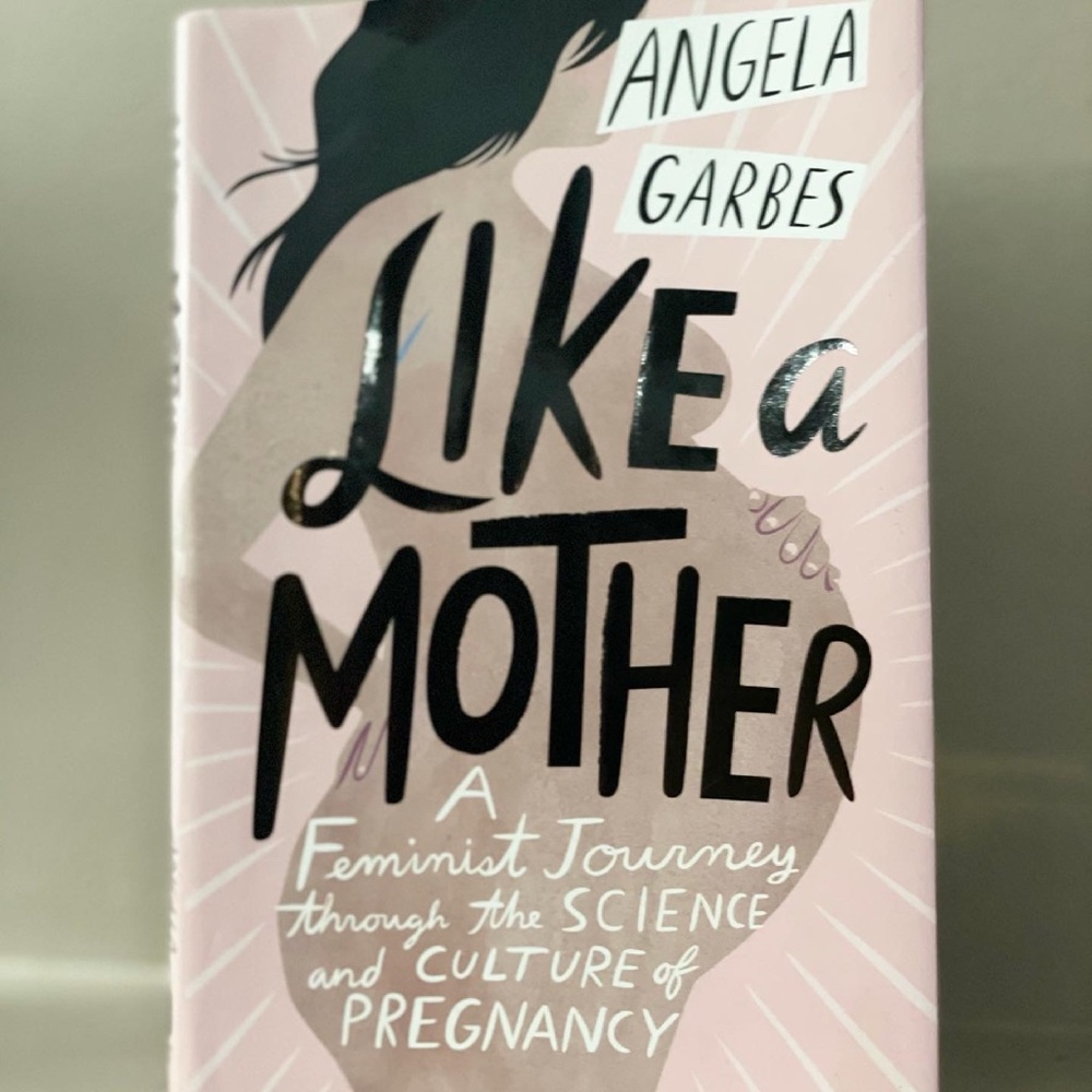 Like A Mother Book